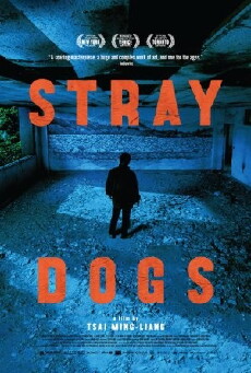 Stray Dogs (2013) - Stream Online