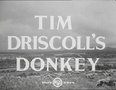 Tim Driscoll's Donkey (1955) - Stream Online