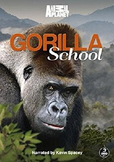 Gorilla School (2010) - Stream Online
