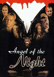 Angel of the Night (1998) - Stream Online