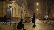 The King of the Border (2017) - Stream Online