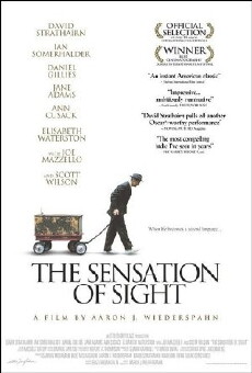 The Sensation of Sight (2006) - Stream Online