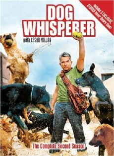 Dog Whisperer with Cesar Millan (2004) - Stream Online