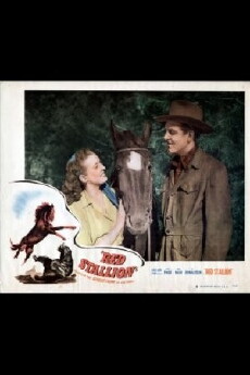 Red Stallion in the Rockies (1949) - Stream Online