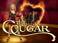 The Cougar (2009) - Stream Online