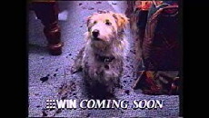 The Bob Morrison Show (1994) - Stream Online