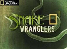 Snake Wranglers II (2003) - Stream Online