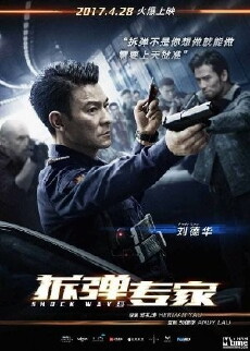 Shock Wave (2017) - Stream Online