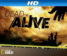 Dead or Alive (2013) - Stream Online