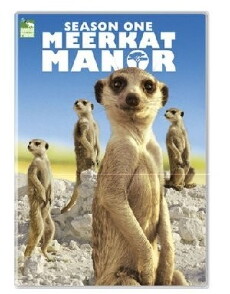 Meerkat Manor (2005) - Stream Online