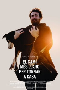 El camí més llarg per tornar a casa (2014) - Stream Online