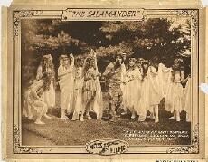 The Salamander (1916) - Stream Online