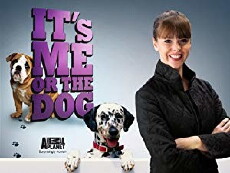 It's Me or the Dog (2008) - Stream Online