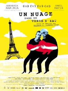 Un nuage dans un verre d'eau (2012) - Stream Online