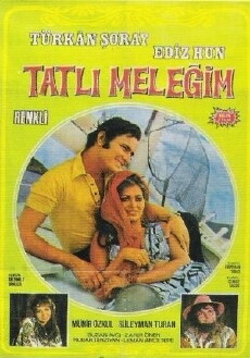 Tatli melegim (1970) - Stream Online