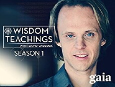 Wisdom Teachings (2013) - Stream Online