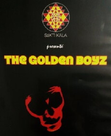 The Golden Boyz (2016) - Stream Online