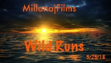 Wild Runs (2018) - Stream Online