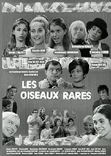 Les oiseaux rares (1969) - Stream Online
