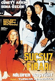 The Innocent Fugitive (1966) - Stream Online