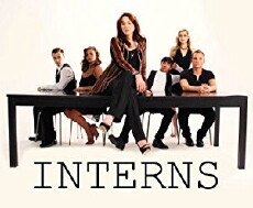 Interns: The Web Series (2012) - Stream Online