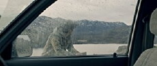 Hunting Season (2017) - Stream Online