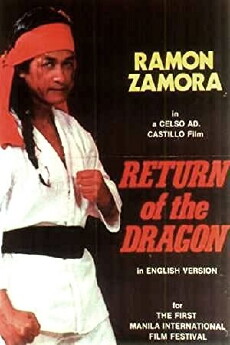 Return of the Dragon (1974) - Stream Online