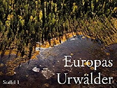 Europas Urwälder (2010) - Stream Online