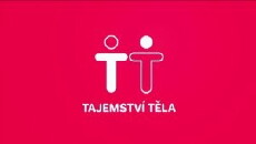 Tajemství tela (2017) - Stream Online