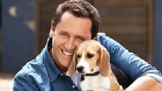 Celebrity Dog School (2007) - Stream Online