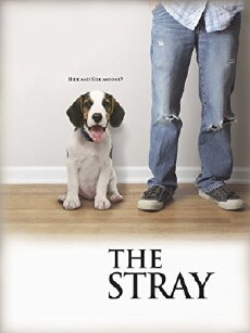 The Stray (2012) - Stream Online