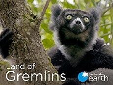 Land of Gremlins (2015) - Stream Online