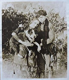 The Bugle Call (1916) - Stream Online