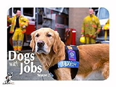 Dogs with Jobs (2000) - Stream Online