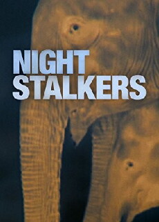 Night Stalkers (2011) - Stream Online