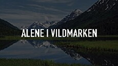 Alene I Vildmarken (2017) - Stream Online