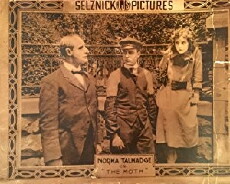 The Moth (1917) - Stream Online