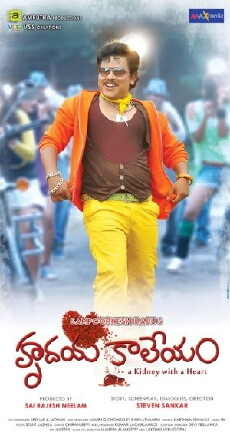 Hrudaya Kaleyam (2014) - Stream Online