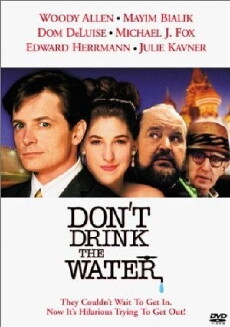 Don't Drink the Water (1994) - Stream Online