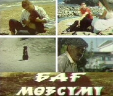 Bag mövsümü (1986) - Stream Online