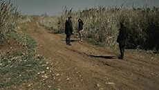 The Day I Lost My Shadow (2018) - Stream Online