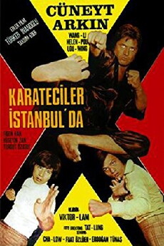 Ninja Killer (1974) - Stream Online