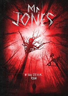 Mr. Jones (2013) - Stream Online