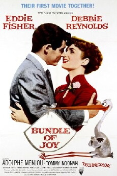 Bundle of Joy (1956) - Stream Online