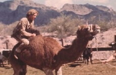 The Quest (1976) - Stream Online