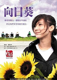 Sun Flowers (2010) - Stream Online