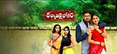 Kalyana Vaibhogam (2017) - Stream Online