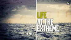 Volvo Ocean Race: Life at the Extreme - The Series (2014) - Stream Online