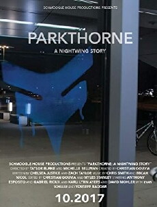 Parkthorne: A Nightwing Story (2017) - Stream Online