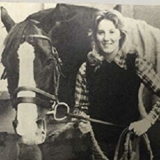 Horse in the House (1977) - Stream Online